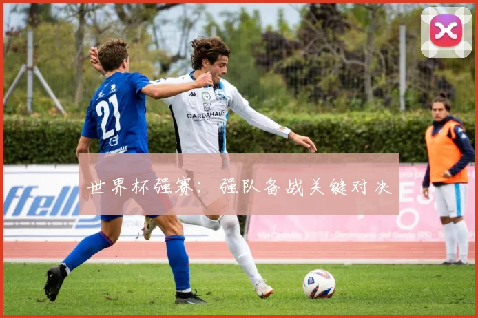 世界杯强赛：强队备战关键对决