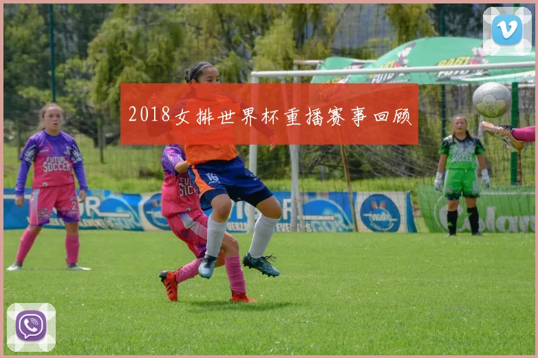 2018女排世界杯重播赛事回顾