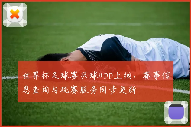 世界杯足球赛买球app上线,赛事信息查询与观赛服务同步更新