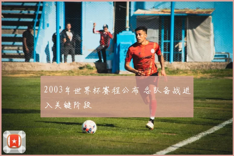 2003年世界杯赛程公布 各队备战进入关键阶段