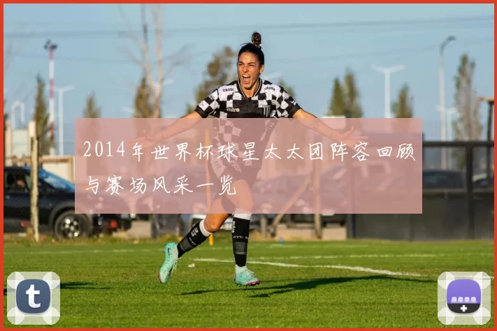 2014年世界杯球星太太团阵容回顾与赛场风采一览