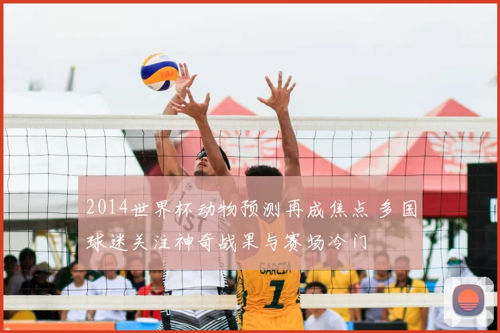 2014世界杯动物预测再成焦点 多国球迷关注神奇战果与赛场冷门