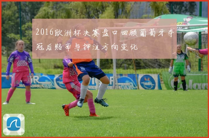 2016欧洲杯决赛盘口回顾葡萄牙夺冠后赔率与押注方向变化